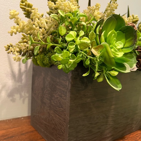Rustic Succulent Arrangement in Wood Container - Picture 3 of 5